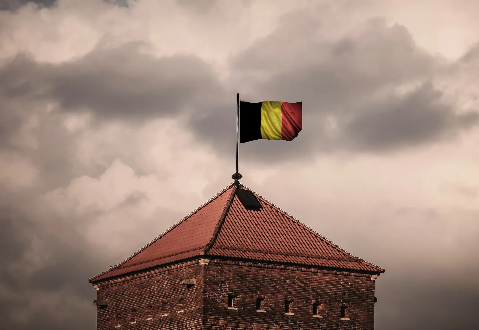 Theo Francken Between National Controversy and Military Diplomacy: Turkey as a Strategic Partner