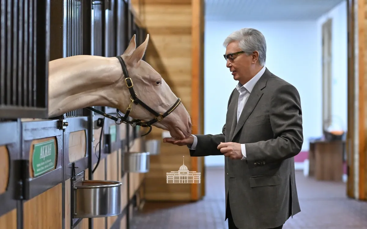 Aqzhan horses and Kazakhstan