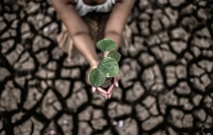 Climate Crisis Calls for a Copenhagen Plan in Pakistan